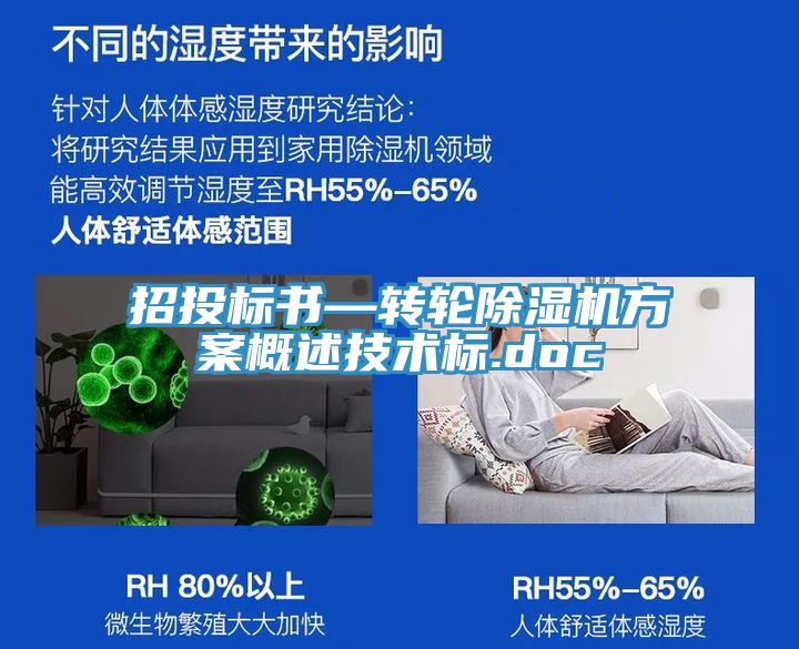 招投標書—轉輪91看片软件大全方案概述技術標.doc