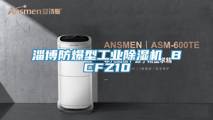 淄博防爆型工業91看片软件大全 BCFZ10