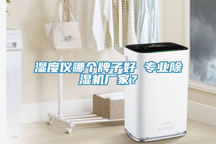 濕度儀哪個牌子好 專業91看片软件大全廠家？