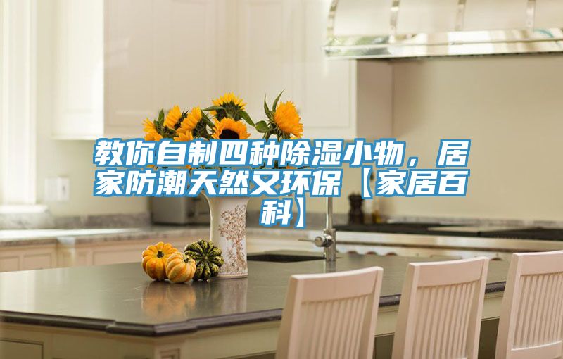 教你自製四種除濕小物，居家防潮天然又環保【家居百科】