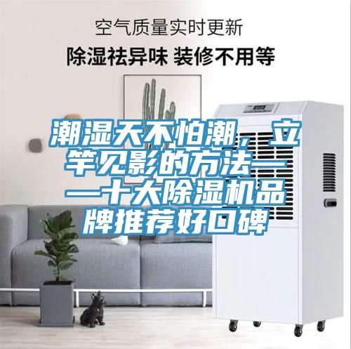 潮濕天不怕潮，立竿見影的方法——十大91看片软件大全品牌推薦好口碑