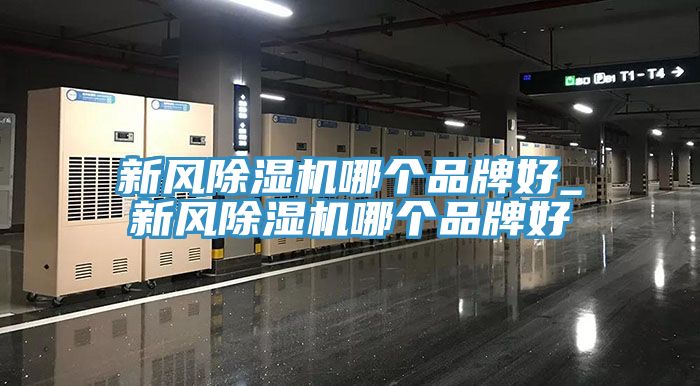 新風91看片软件大全哪個品牌好_新風91看片软件大全哪個品牌好
