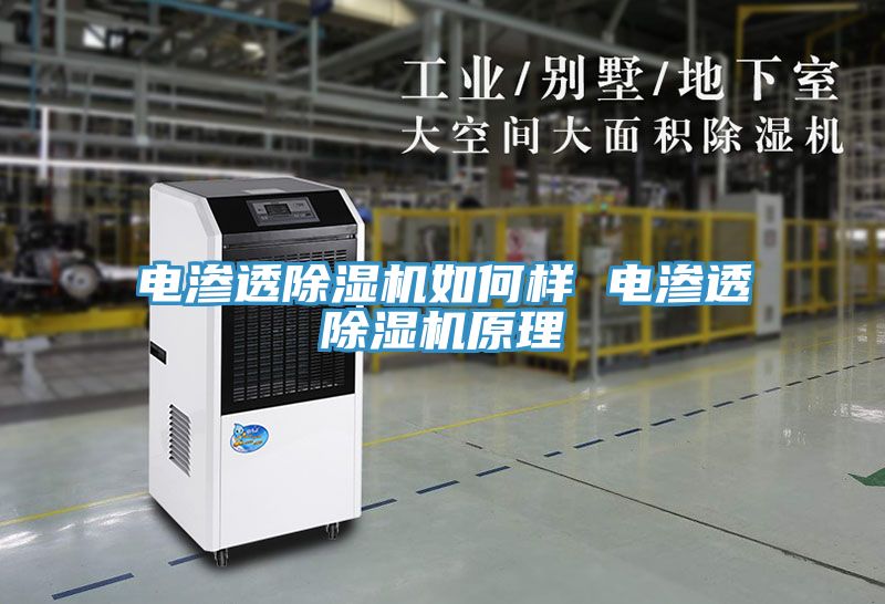 電滲透91看片软件大全如何樣 電滲透91看片软件大全原理