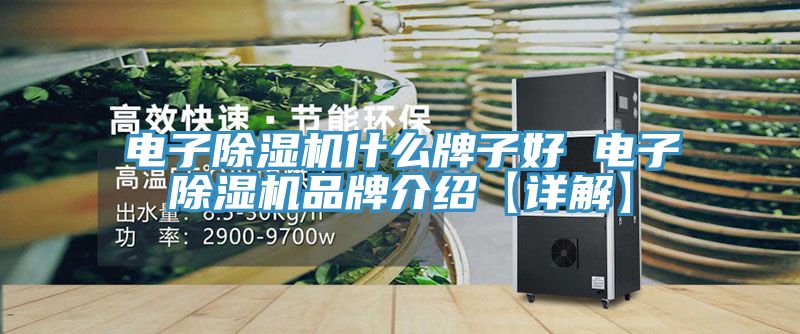 電子91看片软件大全什麽牌子好 電子91看片软件大全品牌介紹【詳解】