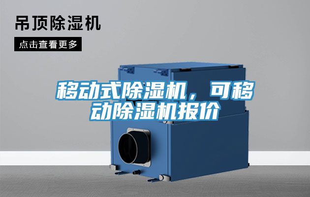移動式91看片软件大全，可移動91看片软件大全報價