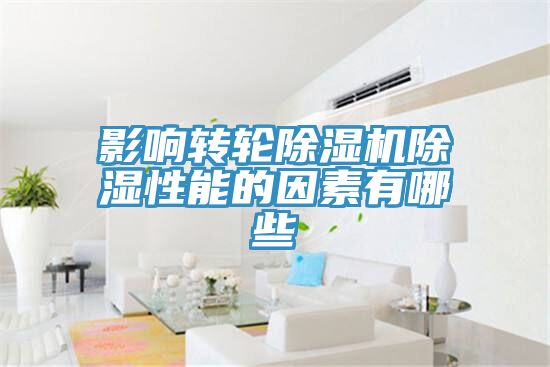 影響轉輪91看片软件大全除濕性能的因素有哪些
