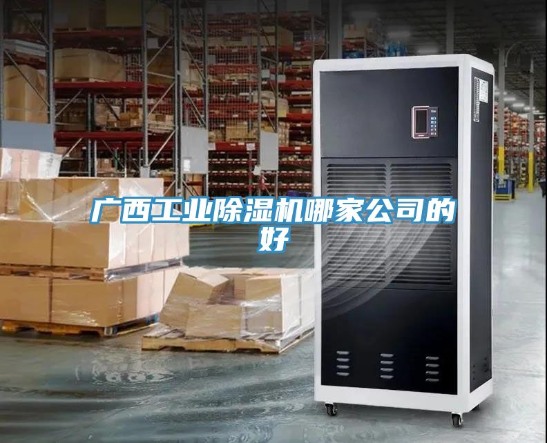 廣西工業91看片软件大全哪家公司的好