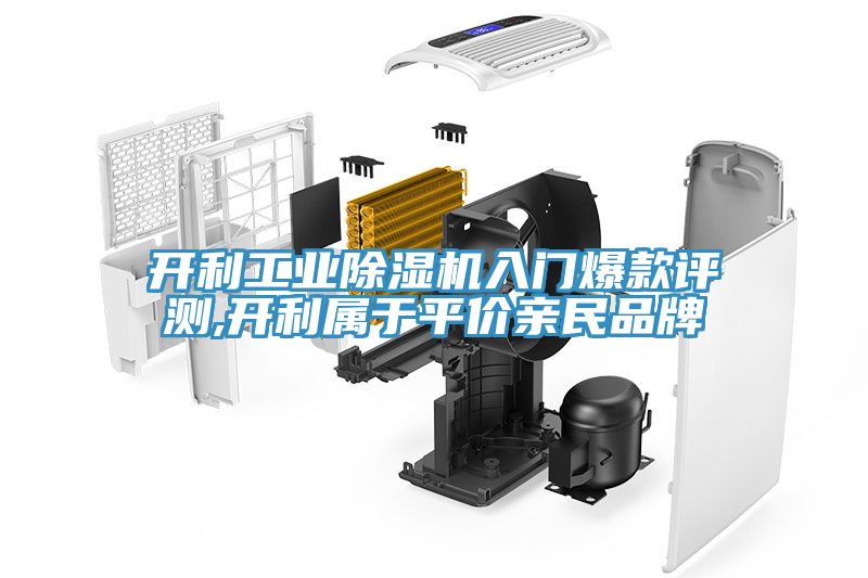 開利工業91看片软件大全入門爆款評測,開利屬於平價親民品牌
