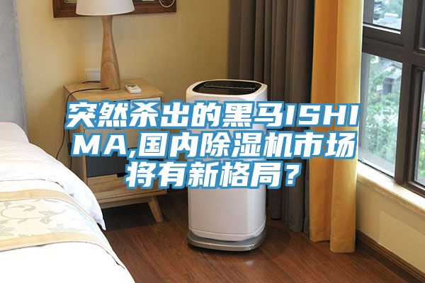 突然殺出的黑馬ISHIMA,國內91看片软件大全市場將有新格局？