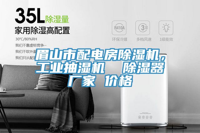 眉山市配電房91看片软件大全，工業抽濕機  除濕器廠家 價格