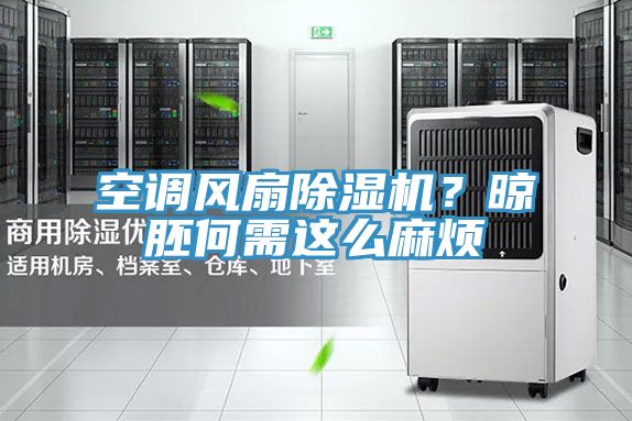 空調風扇91看片软件大全？晾胚何需這麽麻煩