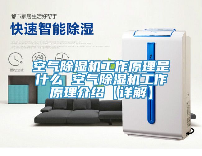 空氣91看片软件大全工作原理是什麽 空氣91看片软件大全工作原理介紹【詳解】