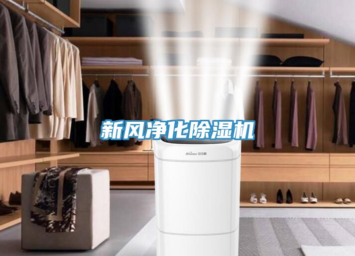 新風淨化91看片软件大全