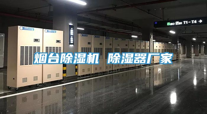 煙台91看片软件大全 除濕器廠家