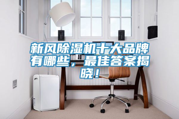 新風91看片软件大全十大品牌有哪些，最佳答案揭曉！