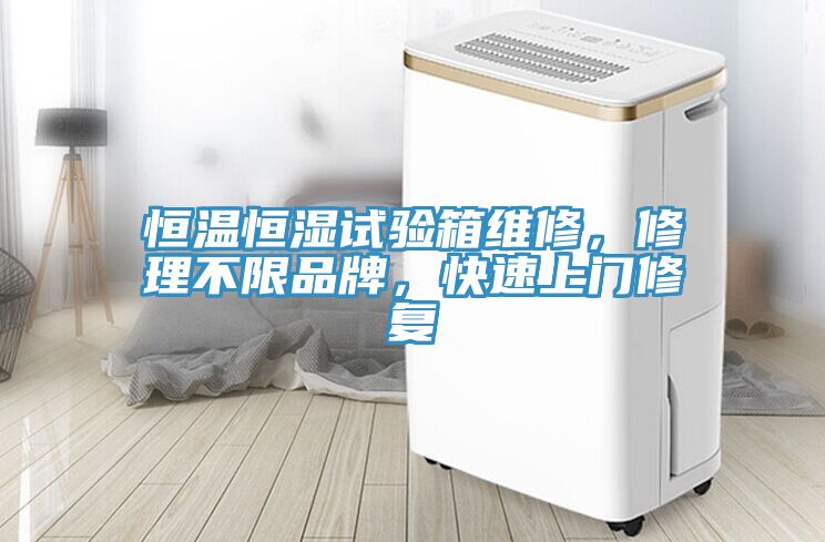 恒溫恒濕試驗箱維修，修理不限品牌，快速上門修複