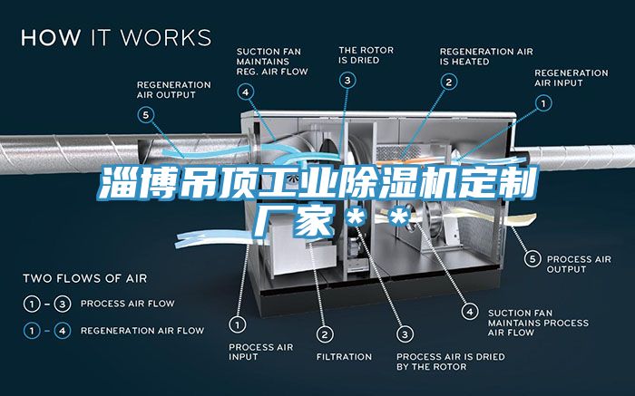 淄博吊頂工業91看片软件大全定製 廠家＊＊