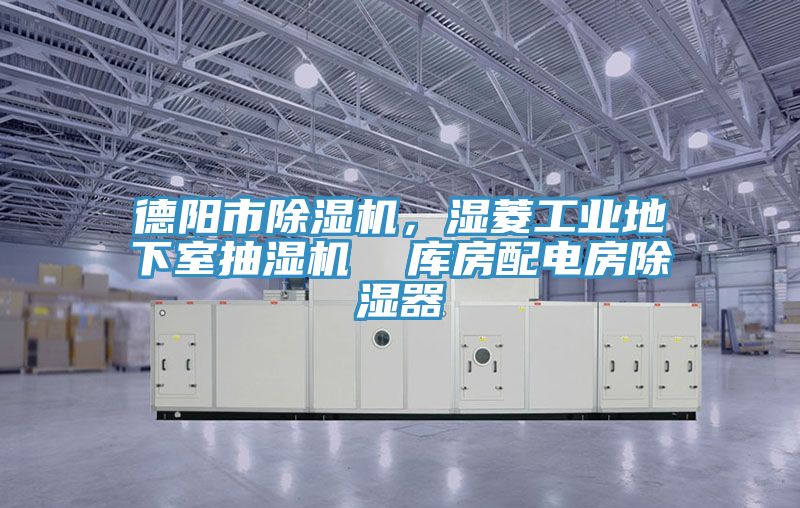 德陽市91看片软件大全，濕菱工業地下室抽濕機  庫房配電房除濕器