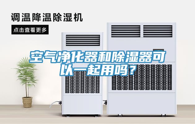 空氣淨化器和除濕器可以一起用嗎？