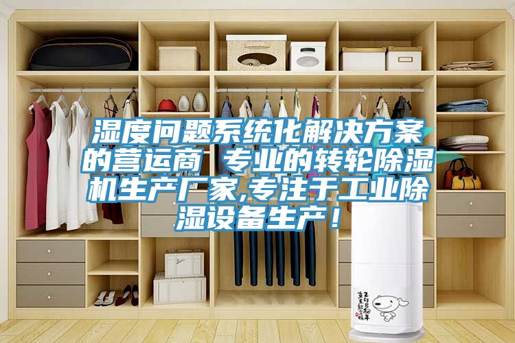 濕度問題係統化解決方案的營運商 專業的轉輪91看片软件大全生產廠家,專注於工業除濕設備生產！