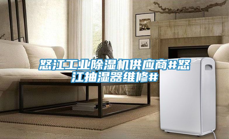 怒江工業91看片软件大全供應商#怒江抽濕器維修#