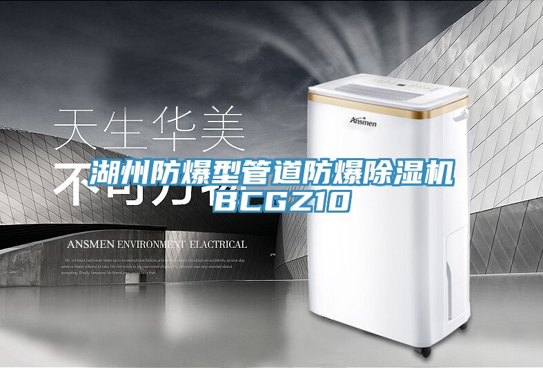 湖州防爆型管道防爆91看片软件大全 BCGZ10