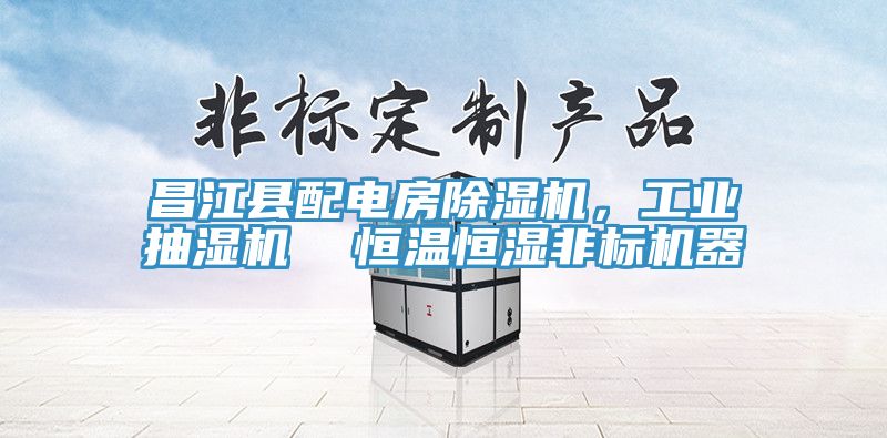 昌江縣配電房91看片软件大全，工業抽濕機  恒溫恒濕非標機器