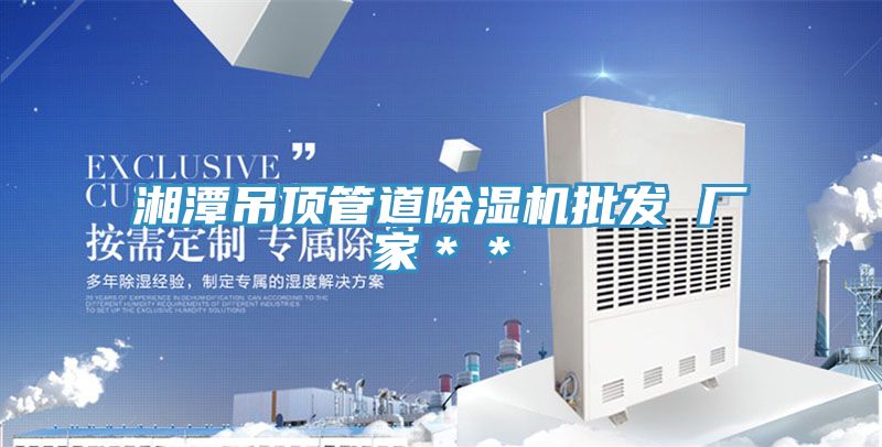 湘潭吊頂管道91看片软件大全批發 廠家＊＊
