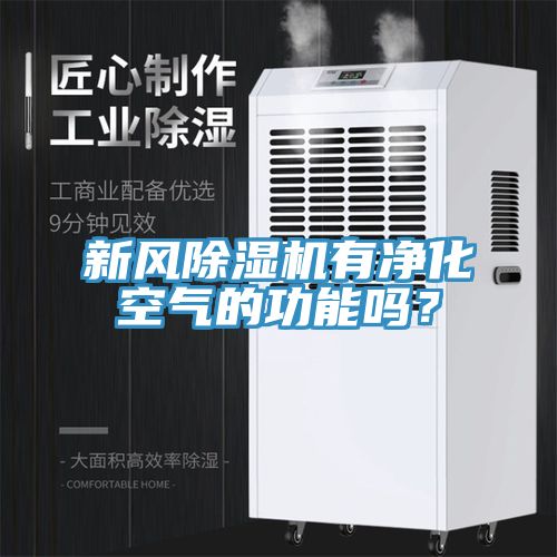 新風91看片软件大全有淨化空氣的功能嗎？