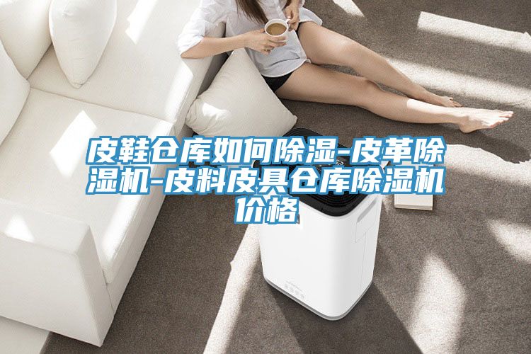 皮鞋倉庫如何除濕-皮革91看片软件大全-皮料皮具倉庫91看片软件大全價格