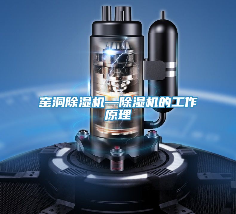 窯洞91看片软件大全—91看片软件大全的工作原理