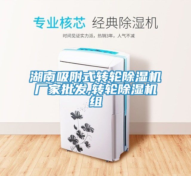 湖南吸附式轉輪91看片软件大全廠家批發,轉輪91看片软件大全組