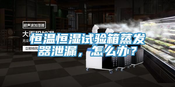 恒溫恒濕試驗箱蒸發器泄漏，怎麽辦？