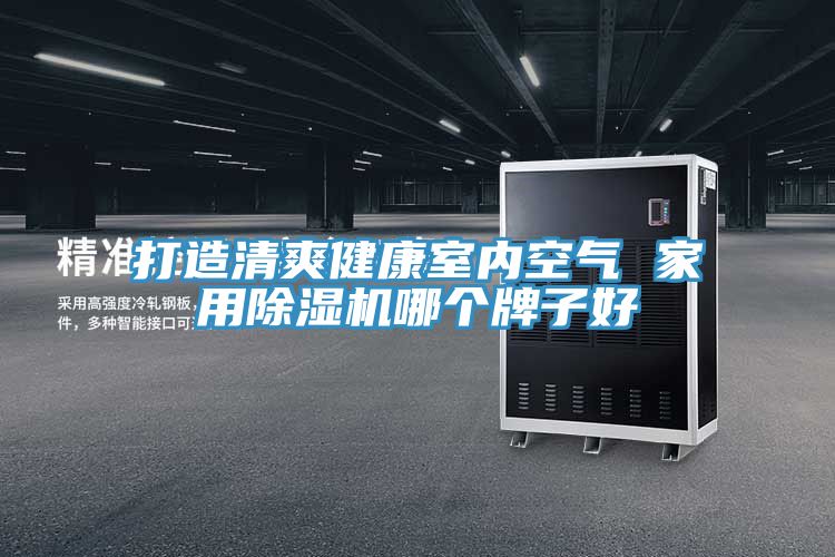 打造清爽健康室內空氣 家用91看片软件大全哪個牌子好