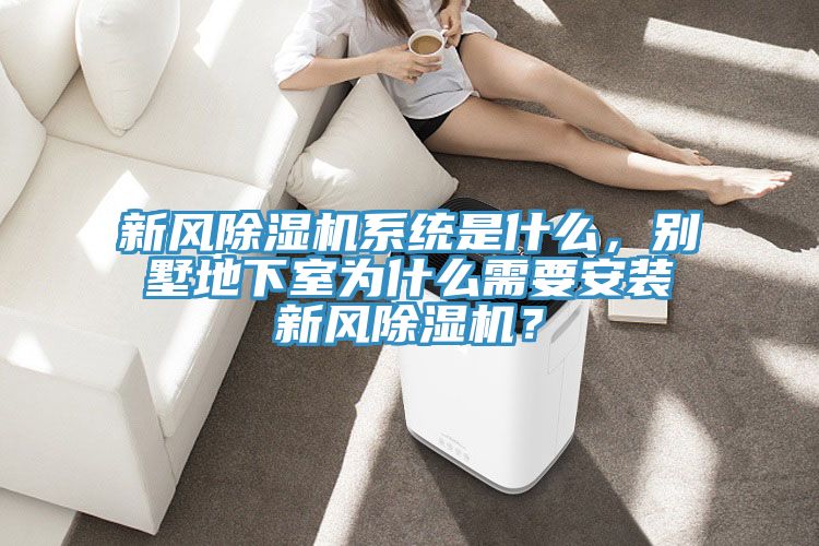 新風91看片软件大全係統是什麽，別墅地下室為什麽需要安裝新風91看片软件大全？