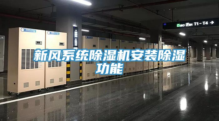 新風係統91看片软件大全安裝除濕功能