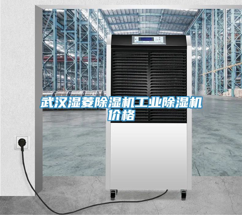 武漢濕菱91看片软件大全工業91看片软件大全價格