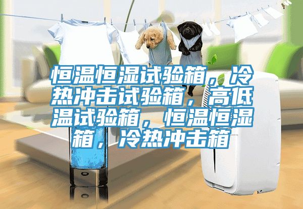 恒溫恒濕試驗箱，冷熱衝擊試驗箱，高低溫試驗箱，恒溫恒濕箱，冷熱衝擊箱