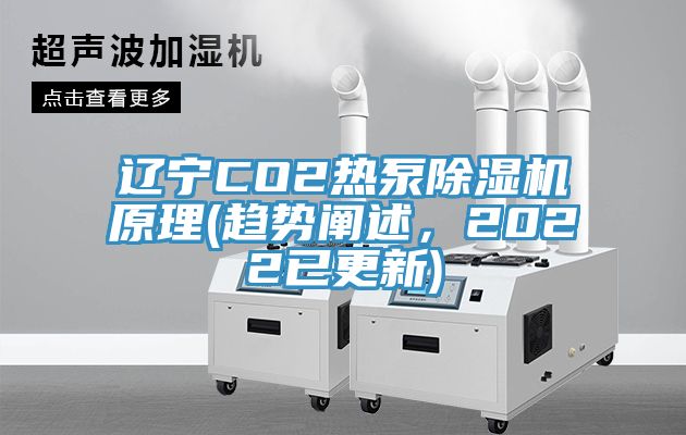 遼寧CO2熱泵91看片软件大全原理(趨勢闡述，2022已更新)