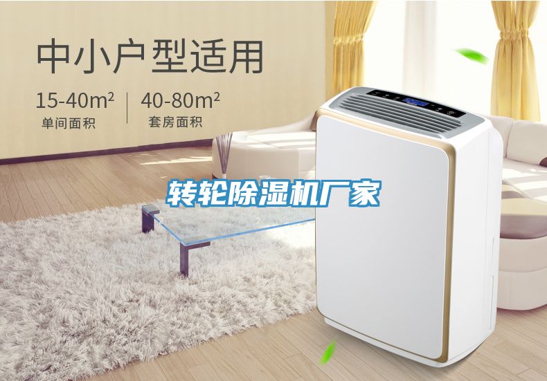 轉輪91看片软件大全廠家