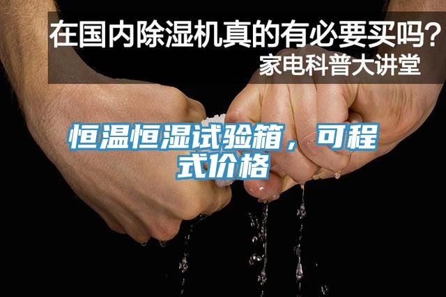 恒溫恒濕試驗箱，可程式價格