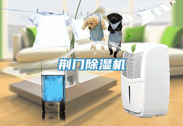 荊門91看片软件大全