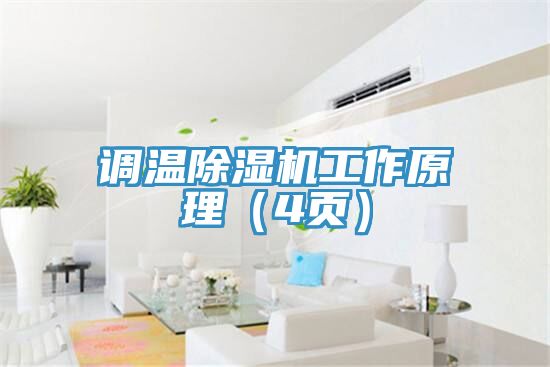 調溫91看片软件大全工作原理（4頁）