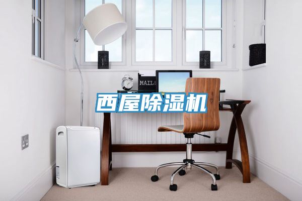 西屋91看片软件大全