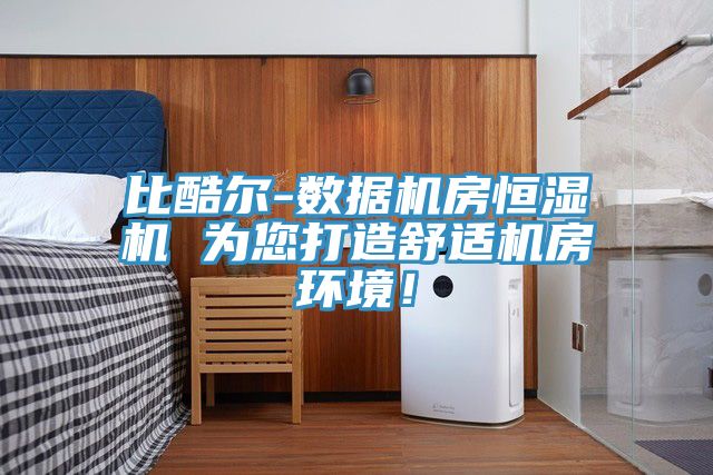 比酷爾-數據機房恒濕機 為您打造舒適機房環境！