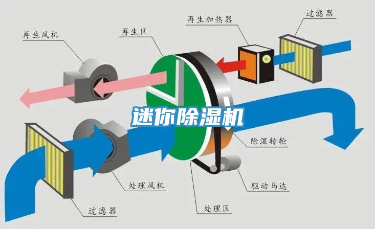 迷你91看片软件大全