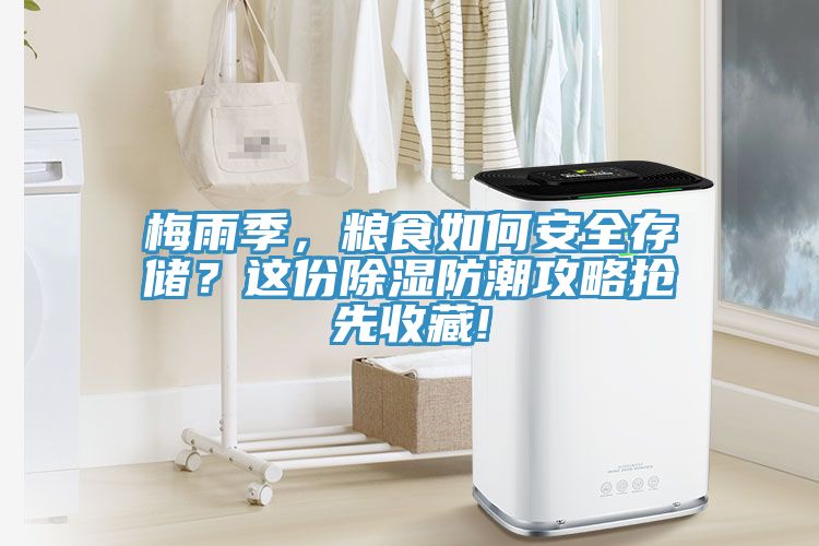 梅雨季，糧食如何安全存儲？這份除濕防潮攻略搶先收藏!