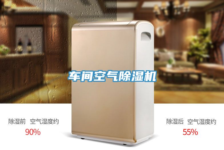 車間空氣91看片软件大全