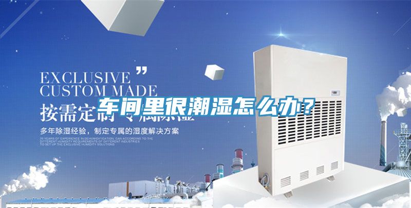 車間裏很潮濕怎麽辦？