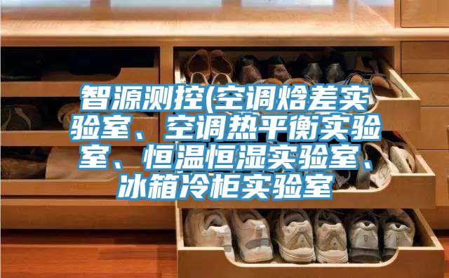 智源測控(空調焓差實驗室、空調熱平衡實驗室、恒溫恒濕實驗室、冰箱冷櫃實驗室